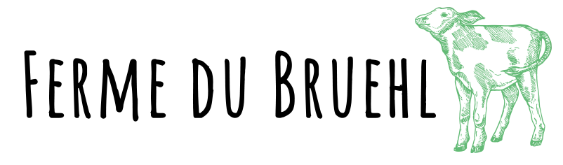 EARL DU BRUEHL logo