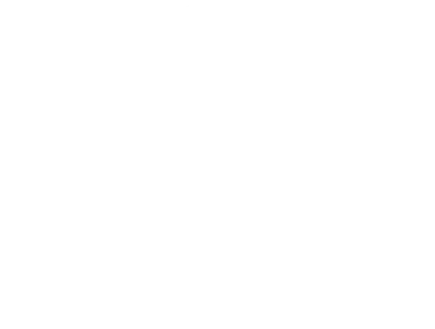 ALP'SPORTS logo