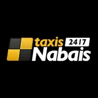 PESENTI - REYNAUD (TAXIS NABAIS - AUTONOM'CONFORT - TAXI DU PONT DU GARD) logo