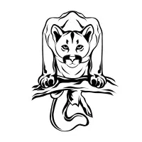 STUDIO CAPITALE logo