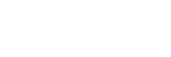 DOMAINE DES LAUZONS logo