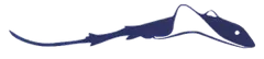 CORAIL CLUB CARAIBES (CCC) logo