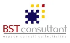 BST CONSULTANT logo