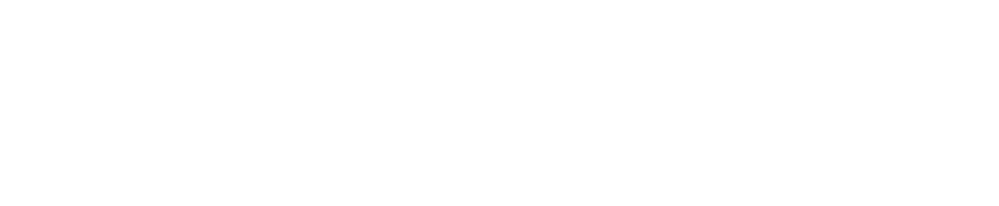 PIETRO BIKE logo