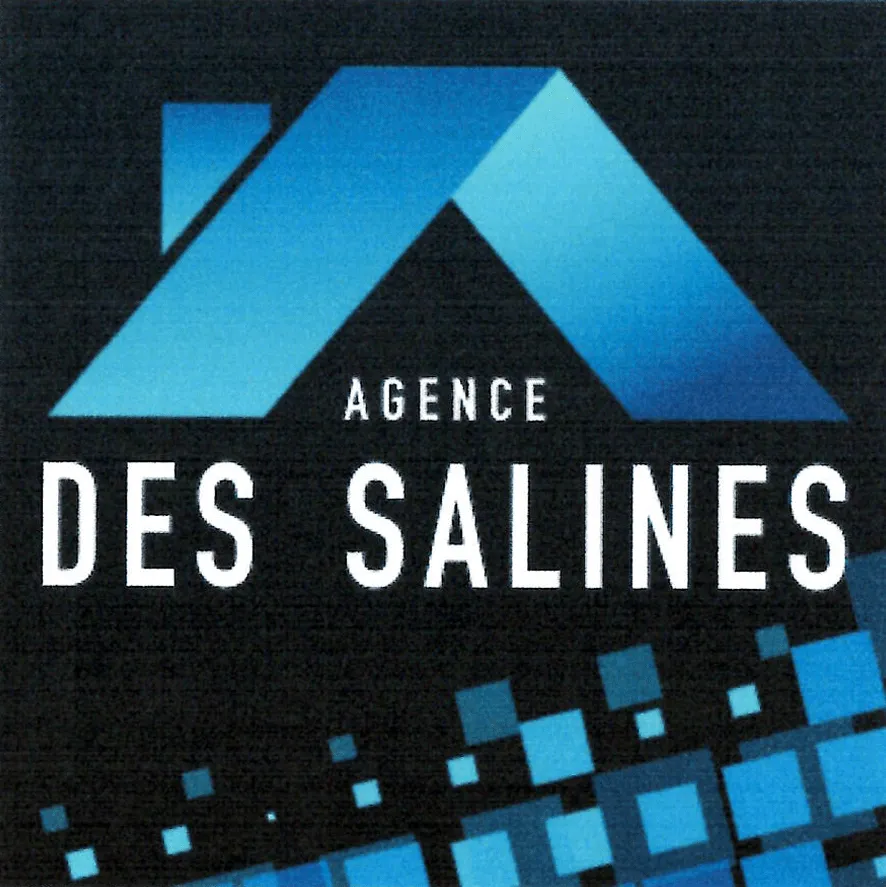 AGENCE DE L OCEAN logo