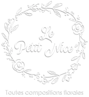 SOC EXPLOITATION LE PETIT NICE logo