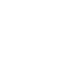 HOTEL DE L AIGUILLE DU MIDI logo