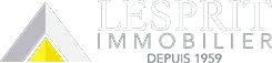 LESPRIT IMMOBILIER logo
