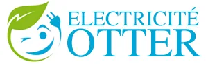 ELECTRICITE OTTER logo