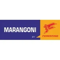 FERENTINO TYRE FRANCE logo