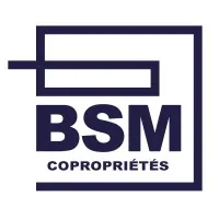 Voici le logo de la marque B.S.M. qui représente son identité graphique.
