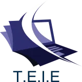 TOUT ENVIRONNEMENT INFORMATIQUE EUROPEEN (TEIE) logo