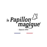 MAGIC FLYER INTERNATIONAL logo