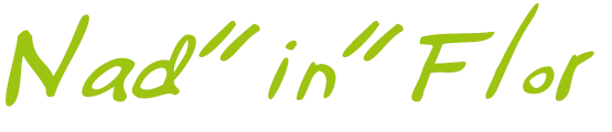 BROSSARD NADINE (NAD IN  FLOR) logo