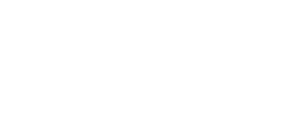 CLEMENT STEPHANE logo