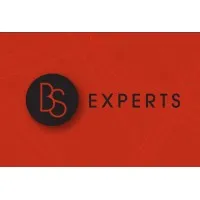 BS EXPERTS logo
