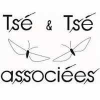 TSE & TSE ASSOCIEES logo