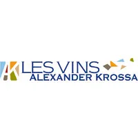 VIN EXPRESSION logo