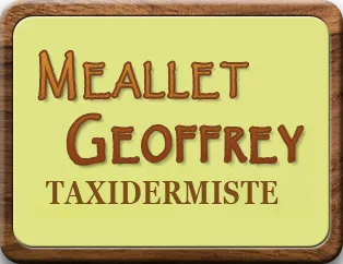 MEALLET JOFFREY (CHASSE PASSION) logo