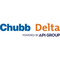 DELTA SECURITY SOLUTIONS HOLDING logo