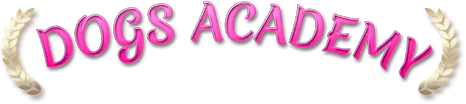 HACHIN VERONIQUE logo