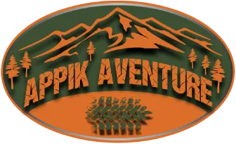 APPIK AVENTURE PASSION PILOTAGE 4X4 logo