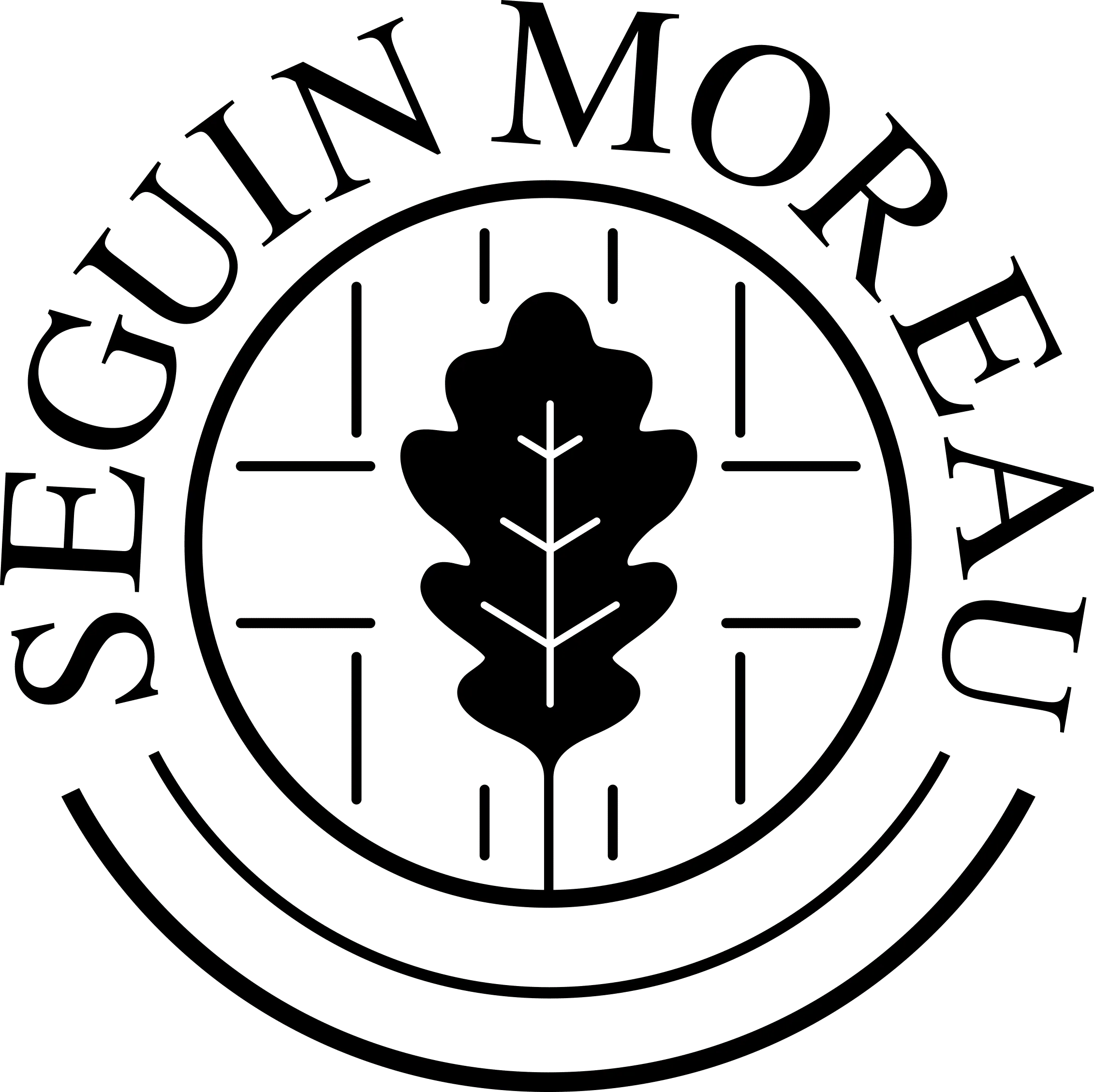 SEGUIN MOREAU RONCHAMP logo
