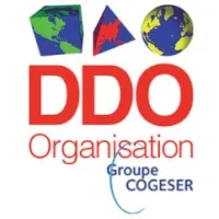 DDO ORGANISATION (DDO) logo