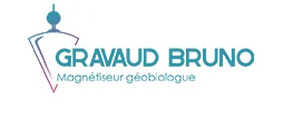 GRAVAUD BRUNO logo