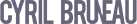 BRUNEAU CYRIL logo