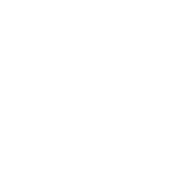 BRIDAY logo