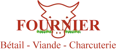 FOURNIER SAS logo