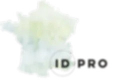 STE ID PRO logo