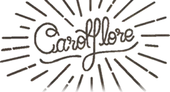 VALIGNAT PATRICK (CAROL'FLOR) logo