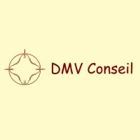 DMV CONSEIL logo