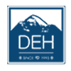 D.E. HOLDING logo