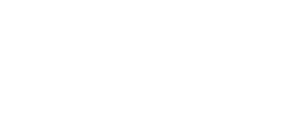 SOC BORDELAISE DE BOISSONS (EL BODEGON ROCK CAFE) logo