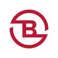 BUHLMANN FRANCE logo
