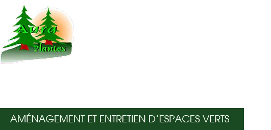 SARL AURA PLANTES (AURA PLANTES) logo