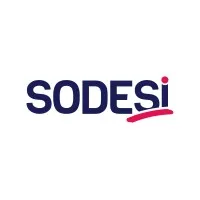 SOCIETE POUR LE DEVELOPPEMENT DE L EMPLOI DANS LES SERVICES ET L INDUSTRIE (SODESI) logo