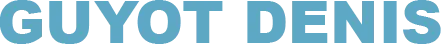 GUYOT DENIS logo
