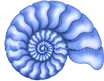 NAUTILE IMMOBILIER logo