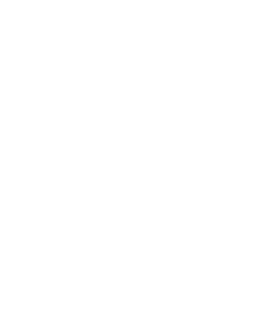 FORESTIERE PIERRE NICOLAS logo