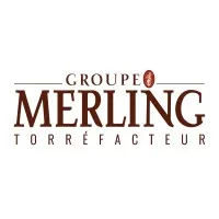 MERLING PROFESSIONNEL