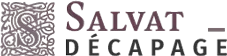 SALVAT SARL (SALVAT) logo