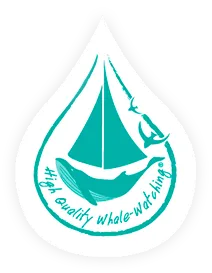 SOCIETE MARITIME SANARYENNE logo