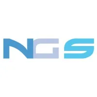 NG SOLUTIONS (NEROISEL AREDIA) logo