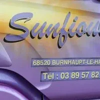 SUNFIOUL logo