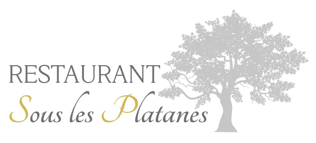 HOTEL LE MAS DES GRES logo