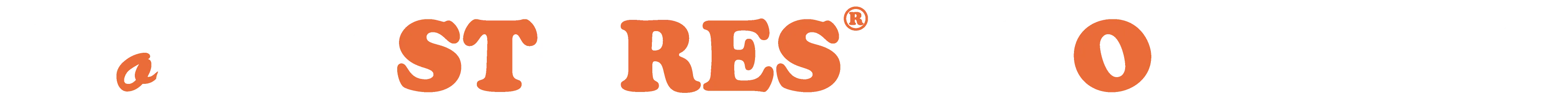 MONDIAL STORES logo